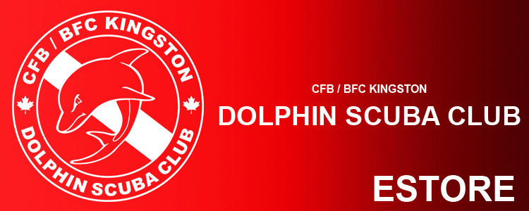 Dolphin Scuba Club